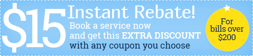 cleaning service rebate coupon