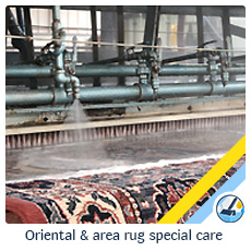 oriental rug cleaning