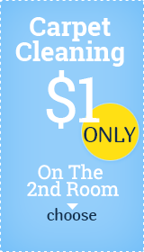 2nd Room $1 Only - Carpet Cleaning