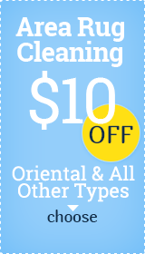 $10 off - Rug Cleaning